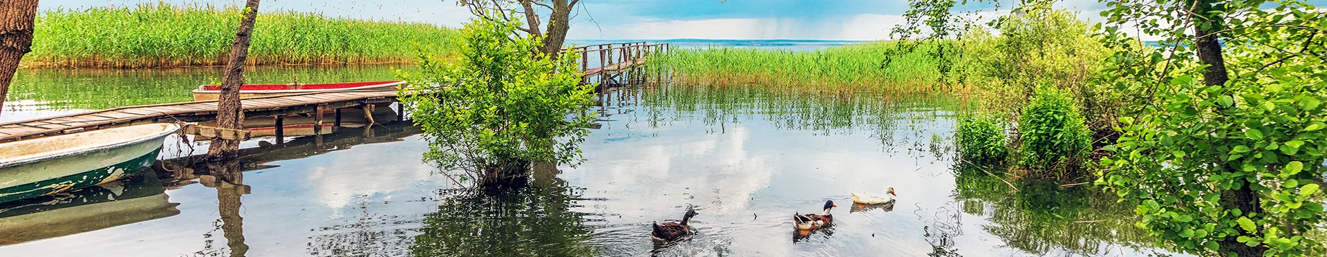 Türkiye 15. Gıda Kongresi